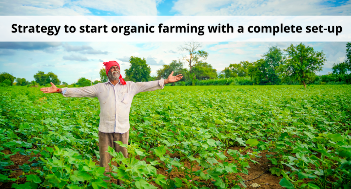 Strategy to start organic farming with a complete set-up